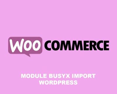 Module Wordpress Busyx Import